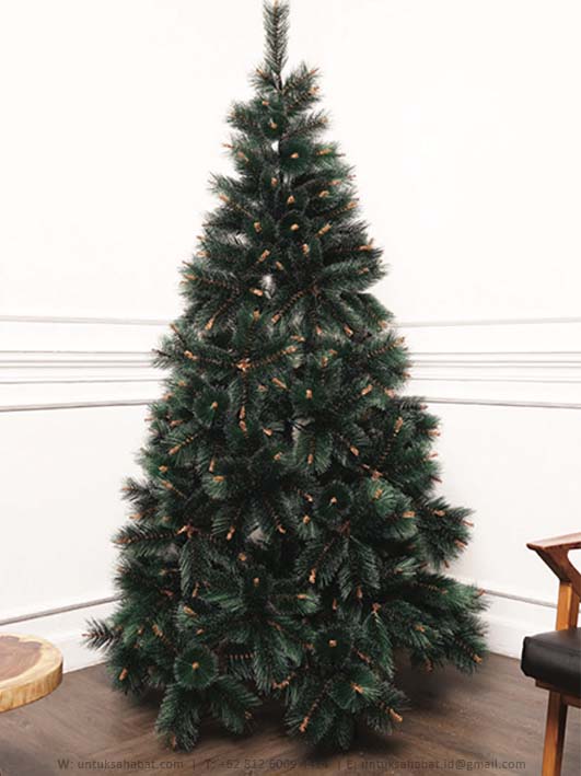 Snow White Pine Tree