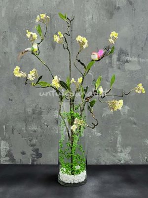 Sakura Root