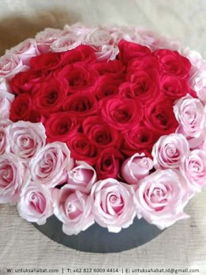 Bloom Box 03
