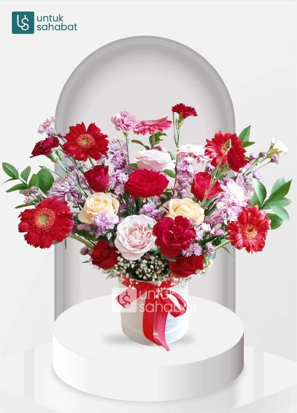 Bloombox Serang 6
