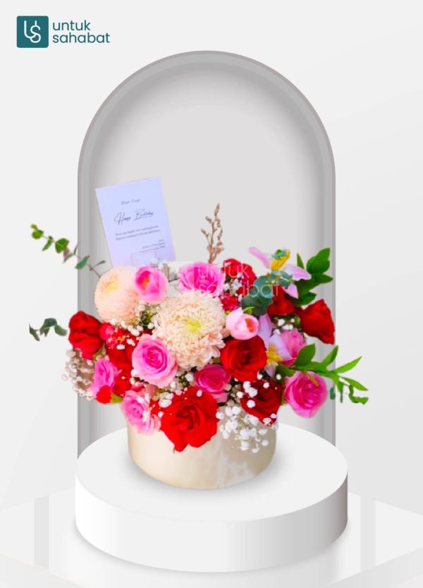 Bloombox Solo 4