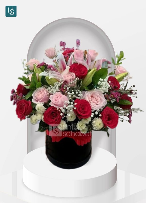 Bloombox Tanjung Selor 13