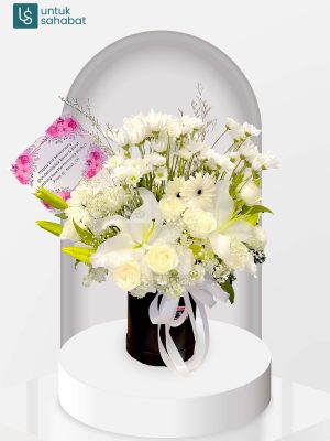 Bloombox Tanjung Selor 2