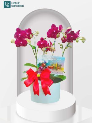 Bloombox Tanjung Selor 3
