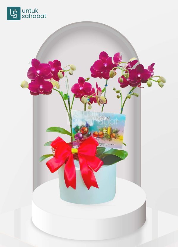 Bloombox Tanjung Selor 3