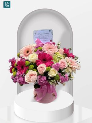 Bloombox Tanjung Selor 8