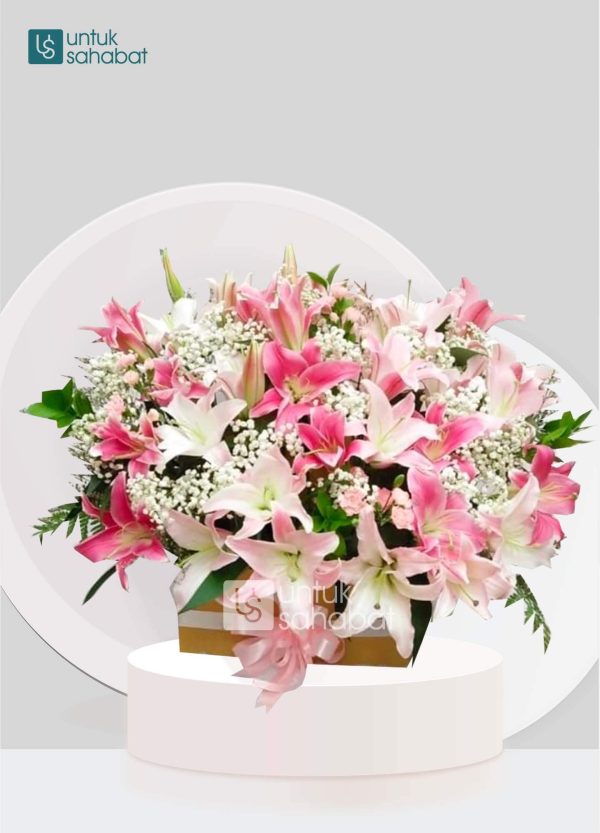 Bloombox Yogya 5
