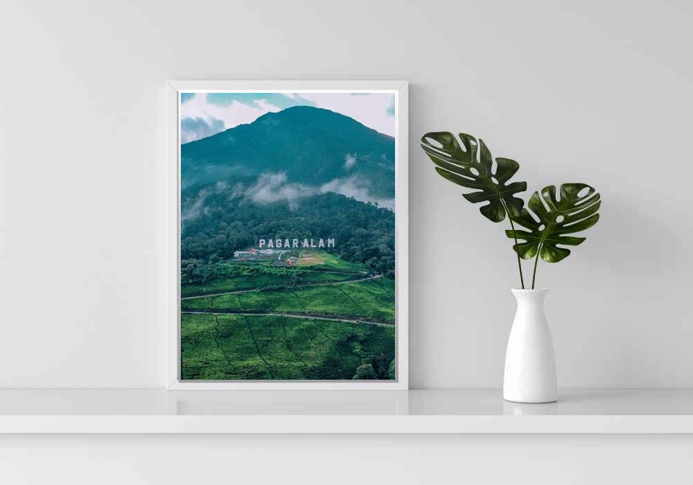 Toko Bunga Pagar Alam