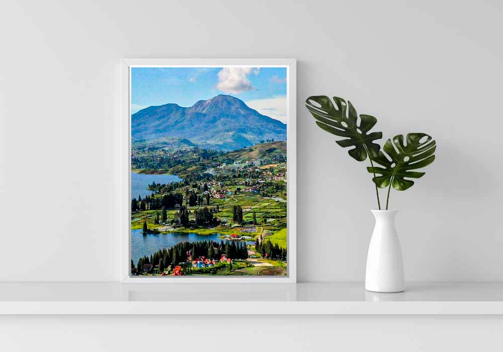 Toko Bunga Solok