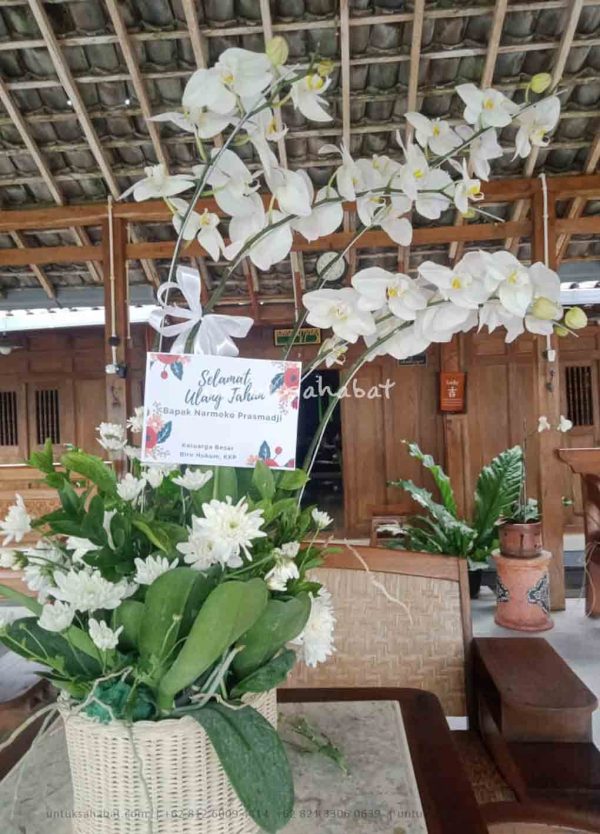 Bunga Meja Anggrek 02