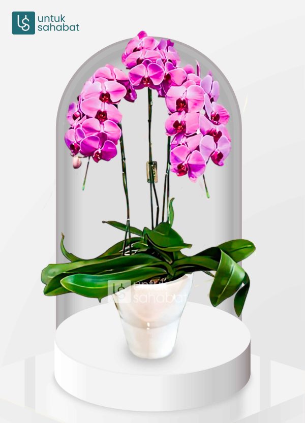 Standing Flower Yogyakarta 20