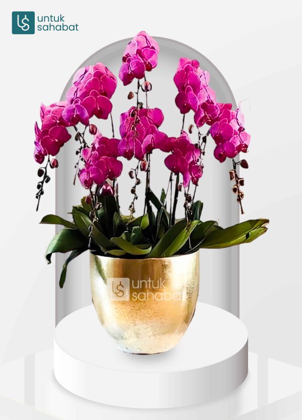 Standing Flower Yogyakarta 22