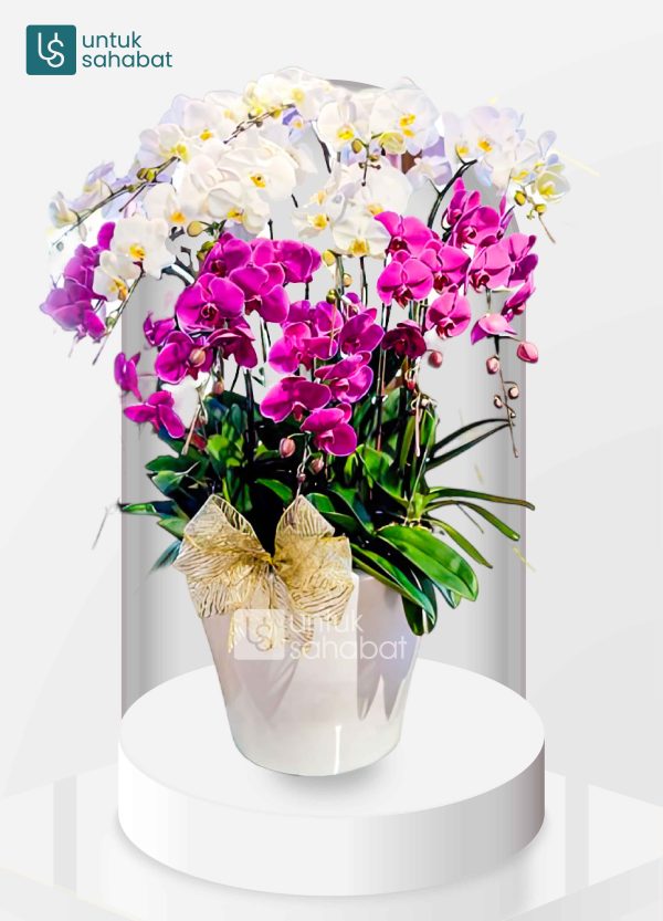 Standing Flower Yogyakarta 23