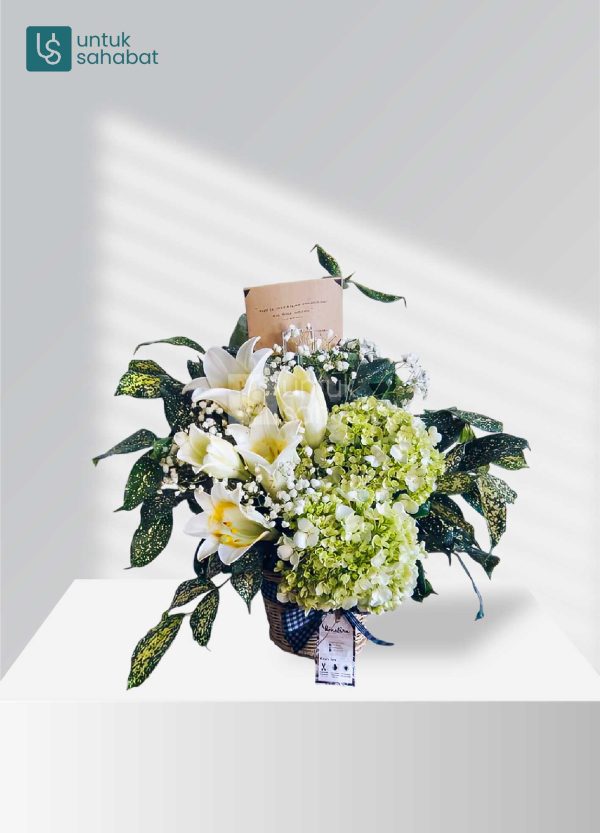 Bloombox Magelang 11