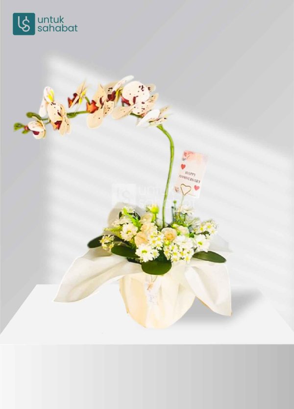 Bloombox Ponorogo 14